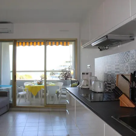 Apartment 3 Pieces, 6 Couchages, Climatisation, Terrasse Vue Mer, Parking - Fr-1-252a-55 Villeneuve-Loubet
